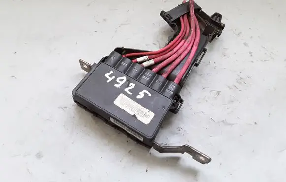 Renault Scenic III - Grand scenic III Positive wiring loom 243170003R 030088801