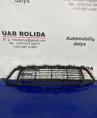 BMW X1 F48 F49 Front bumper lower grill 51117354773
