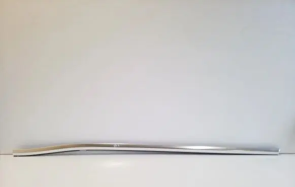 Rear door glass trim molding