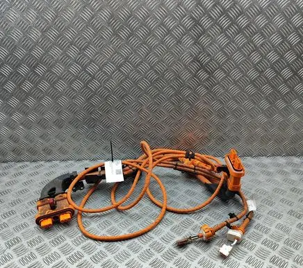 Skoda Enyaq iV Other wiring loom 1EA971013T