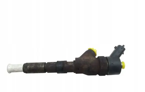Peugeot Boxer Fuel injector 0445110076