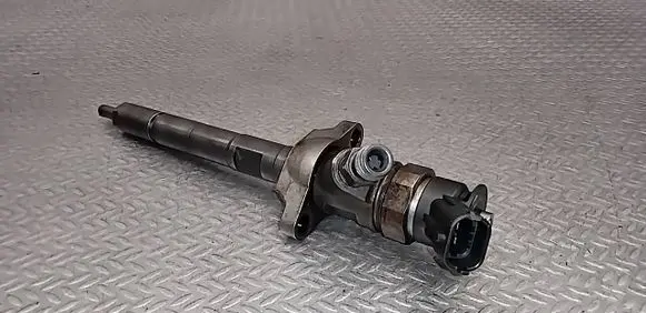 Citroen C3 Picasso Fuel injector 0445110297