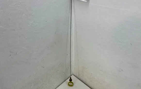 Oil level dip stick