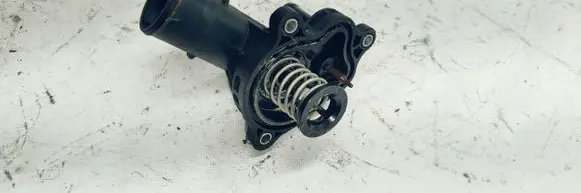 Thermostat/thermostat housing