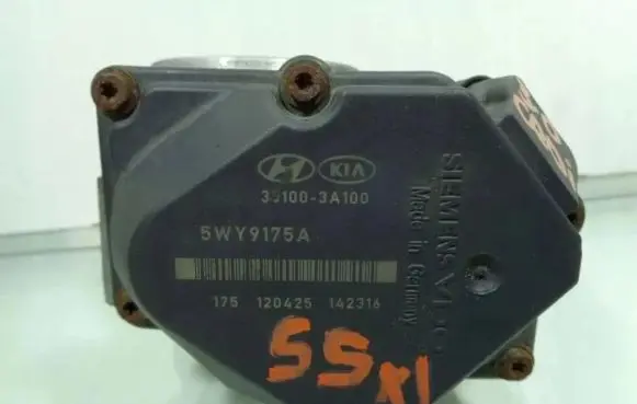 Hyundai ix 55 Throttle valve