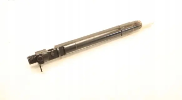 Citroen DS5 Fuel injector 9686191080