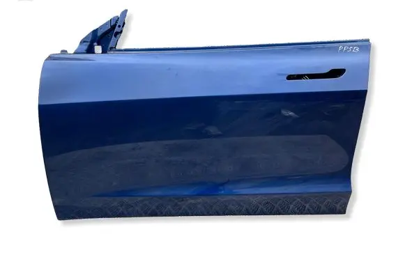 Tesla Model 3 Front door 