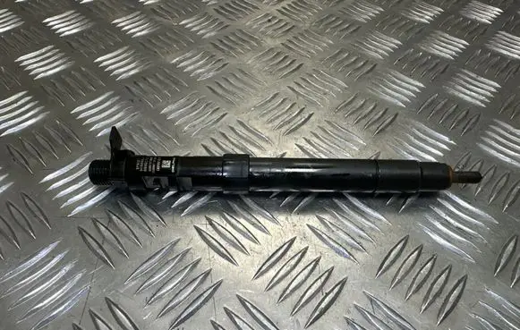 Citroen DS5 Fuel injector 9686191080