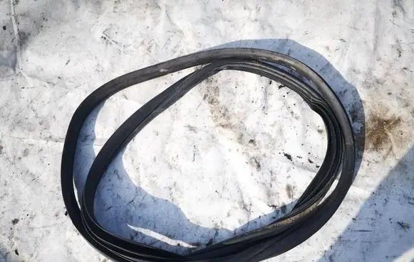 Fiat Tipo Rubber seal rear door 