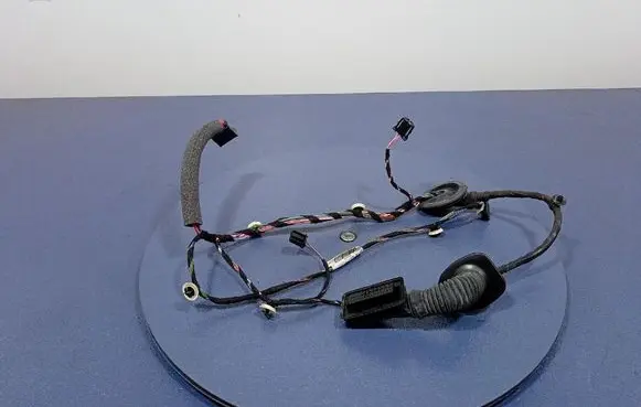 Other wiring loom