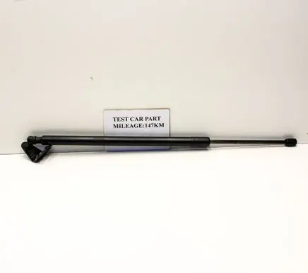 Tailgate/trunk strut/damper