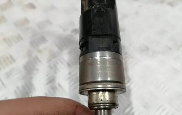 Renault Scenic IV - Grand scenic IV Fuel injector 166002932R A2820700087 210423865