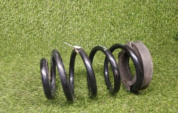 Hyundai Santa Fe Rear coil spring 553354Z020