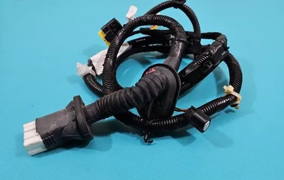 Rear door wiring loom