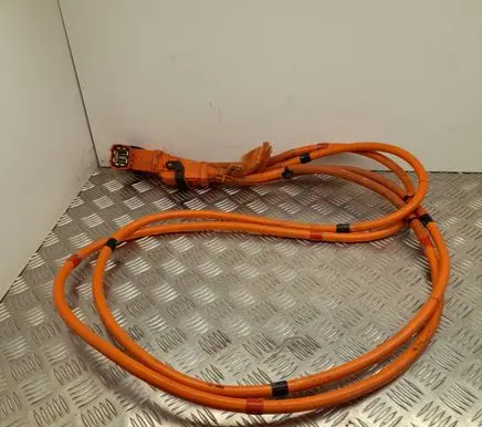 Tesla Model Y Other wiring loom 110900300D