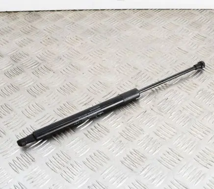 Dacia Duster Tailgate/trunk strut/damper 904520004R