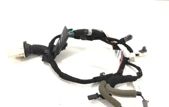 Front door wiring loom