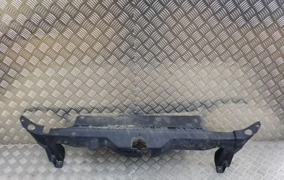 Engine bonnet/hood lock trim molding