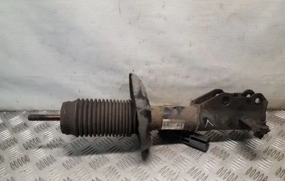 Opel Insignia A Front shock absorber/damper 22951838