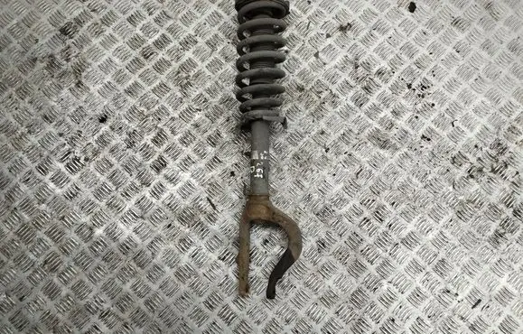 Honda Accord Front shock absorber with coil spring