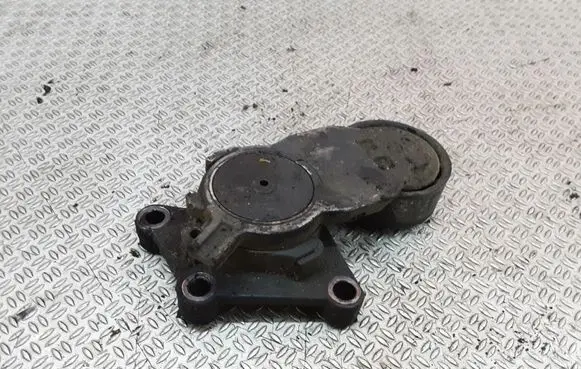 Peugeot 307 Generator/alternator belt tensioner