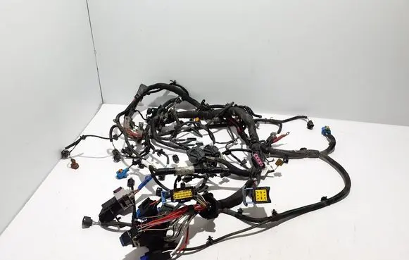 Engine installation wiring loom