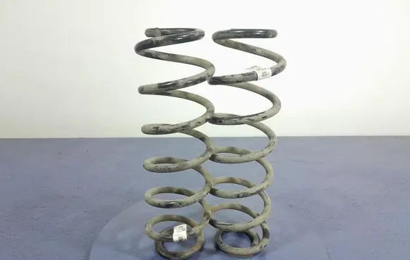 Rear coil spring