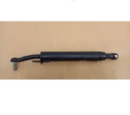 Tailgate strut