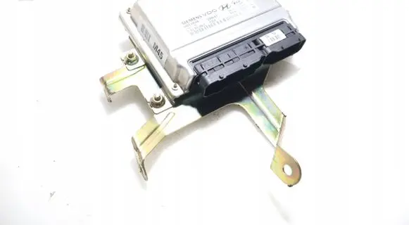 Hyundai Tucson JM Engine control unit/module ECU