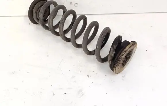 Opel Insignia B Rear coil spring