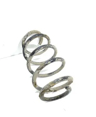Ford S-MAX Front coil spring