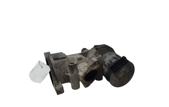 EGR valve