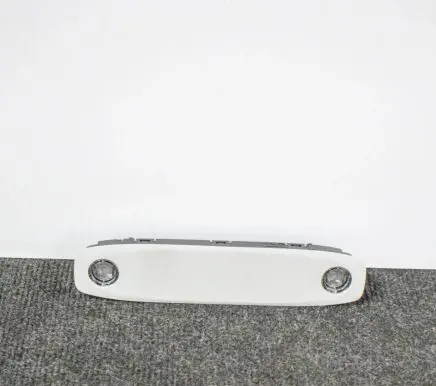 Tesla Model 3 Front seat light 109257591H