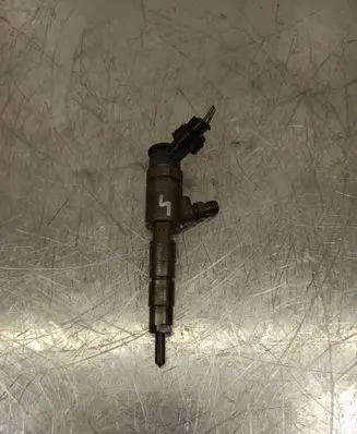 Ford B-MAX Fuel injector 0445110489