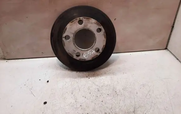 Volkswagen PASSAT B5.5 Rear brake disc