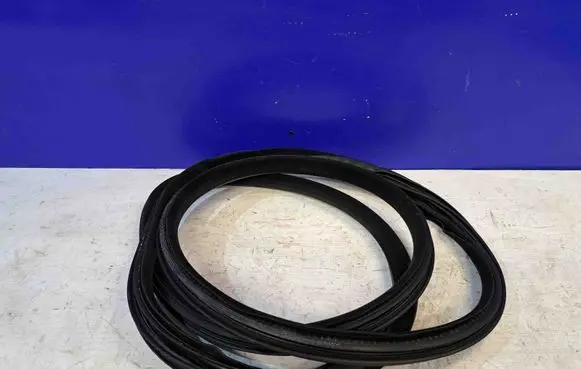 Volvo XC70 Rubber seal front door (on door) 31278771