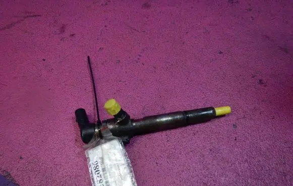 Renault Megane II Fuel injector H8200294788