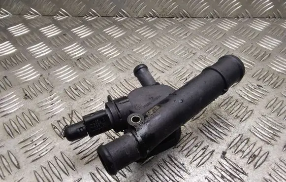 Thermostat/thermostat housing