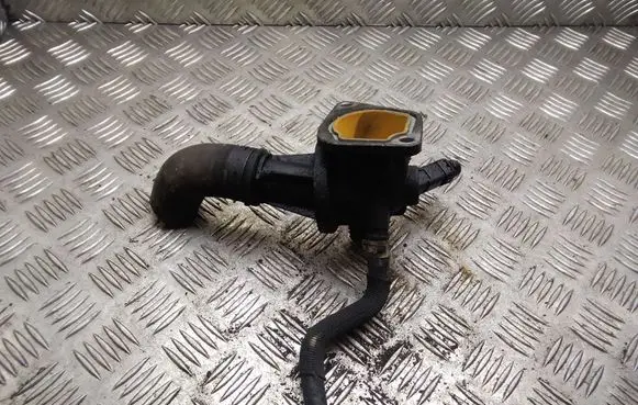 Thermostat/thermostat housing