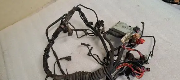 Volkswagen PASSAT B5.5 Engine installation wiring loom 038906019EP