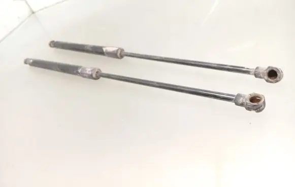 Tailgate/trunk strut/damper