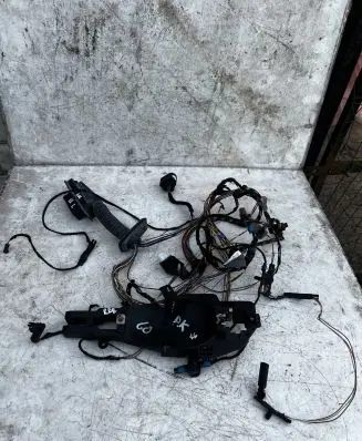 BMW X6 E71 Front door wiring loom 924207001 9242070 9203113