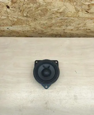 Front door speaker