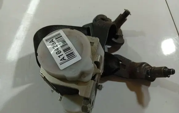 Opel Signum Rear seatbelt 