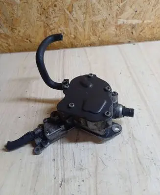 Volkswagen PASSAT B6 Vacuum pump RE219003