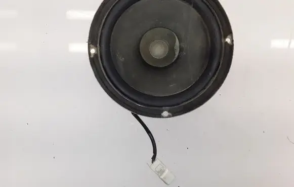 Front door high frequency speaker