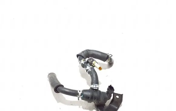 Hyundai Tucson TL Vacuum valve 289102M442