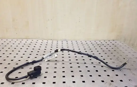 Other wiring loom