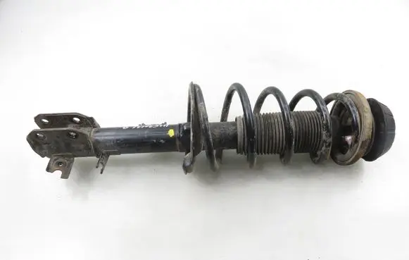 Fiat Sedici Front shock absorber with coil spring 