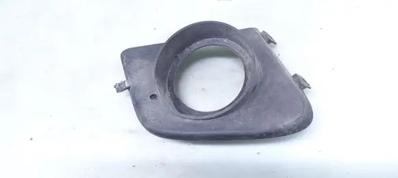 Front fog light trim/grill